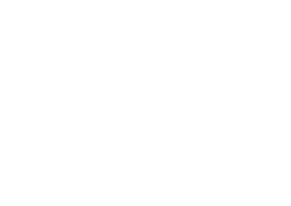 Carnation