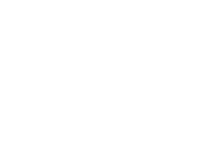 Envia Flores