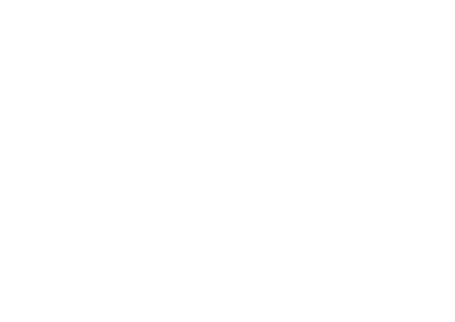 Fisher Price