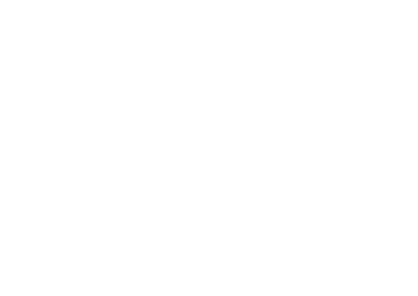 Licor 43