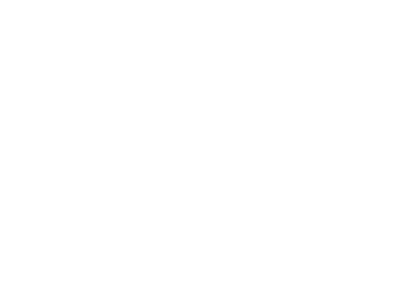Maestro Dobel