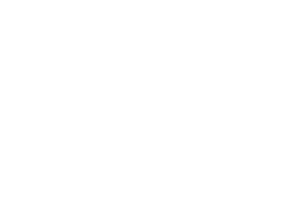 Mezcal 400 Conejos