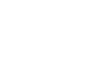 Palacio de Hierro