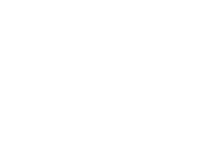 Steve Madden